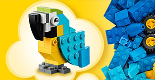 الألعاب والهوايات