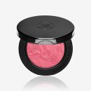 Pure White Kidney Bean Extract