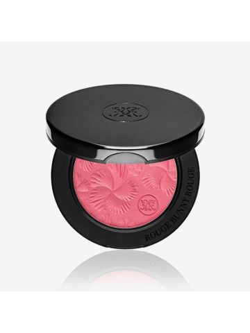 Pure White Kidney Bean Extract